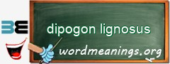 WordMeaning blackboard for dipogon lignosus
